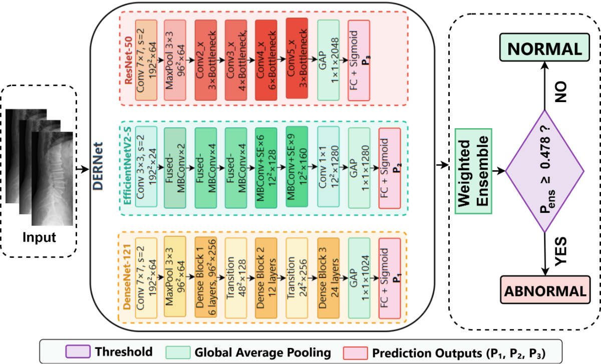 DERNet Dual-Stage Architecture